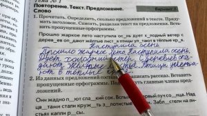 Проверяю тетради по разным предметам
