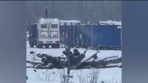 Выживший после нападения медведя вахтовик оказался жителем Уфы