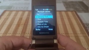 ОБЗОР Samsung S3600i (2010)