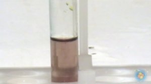 Хлорид железа (III) с тиосульфатом натрия.