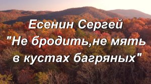 Есенин Сергей стихи "Не бродить, не мять в кустах багряных"