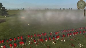 Swiss guard vs Coldstream guards Empire Total War