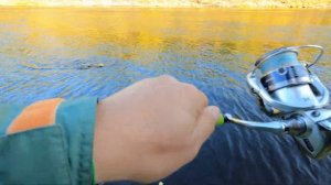 👉РЫБАЛКА на реке Демьянка-Уватский район - видео 4 (цены на услуги)