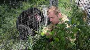 У вольера коварных и умных ШИМПАНЗЕ!