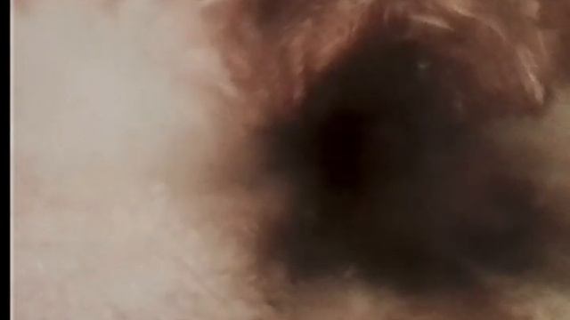 12120865 Victoria Gerber PRE смотреть онлайн