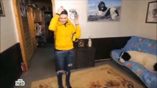 Удаление запахов сухим туманом смотреть онлайн