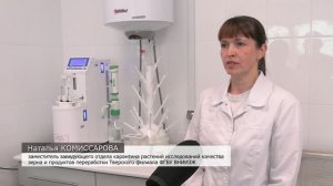 Регион. Тверской филиал ФГБУ ВНИИЗЖ проверяет пшеницу в рамках государственного мониторинга зерна