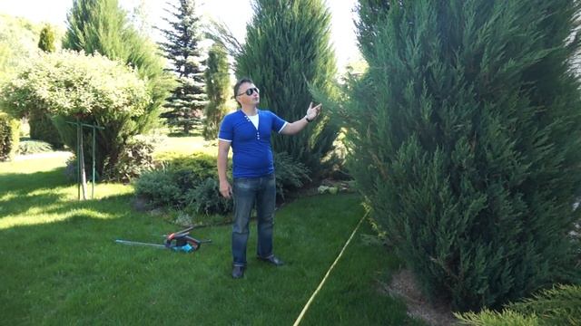 Предстрижечный ликбез смотреть онлайн