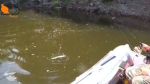 Сплав по реке. Рыбалка продолжается Часть 3