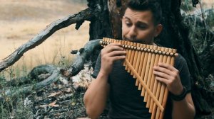 Флейта Пана Релакс музыка Живое исполнение в лесу на флейте Pan Flute Live performance in the fores