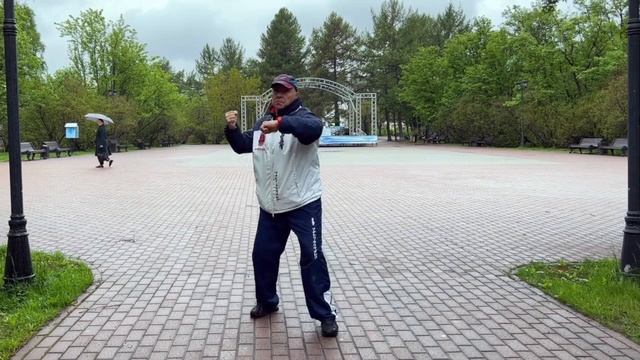 Ицюань (861 день) Поддержка ежедневной практики / Ченбао Чжуан / Няо Нань Фей / Цзай Цюань