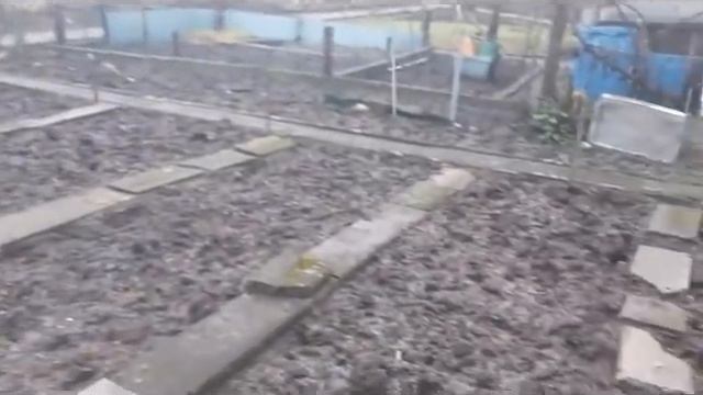 My Garden Tour ?Gardening in Germany in deep Winter || Pumpkin Bread recipe ? ❤❤ смотреть онлайн