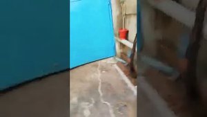 Решаем проблему мокрого пола в Приоре