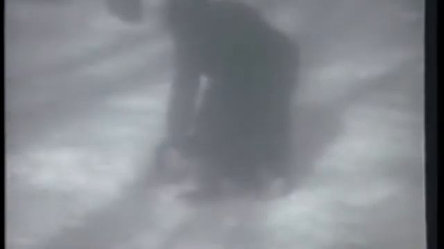 Новогодняя ностальгия. Стихотворение Цацкиса Валерия