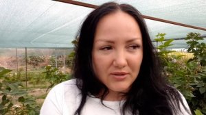 Ежевика Блэк Мэджик - один из "бриллиантов" Арканзасского университета