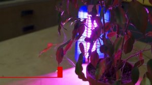 Обзор светодиодного светильника для растений Glanzen RPD-0001-30-grow