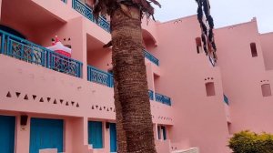 Быстрое заселение в Le Pacha Resort 4 Хургада Египет Обзор номера и территории /