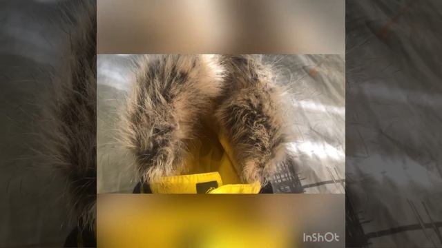 Зимний комбинезон KERRY RED Размер 80 смотреть онлайн