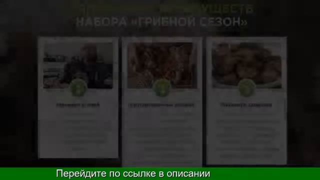 Выращивание Белых Грибов Купить смотреть онлайн