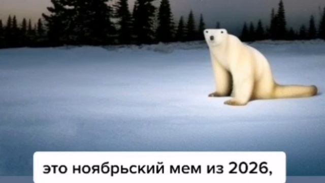 это ноябрьский мем из 2026??