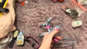 Собираем собаку в путешествие // Собираем чемодан для собаки в поездку