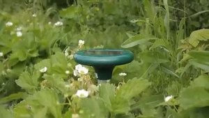 Видеообзор отпугивателя кротов и змей