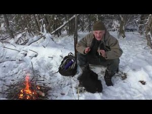 Суконная куртка "Медведицца"