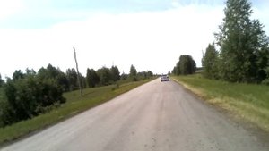 10. Елизаветинский бор до Красного Уральца