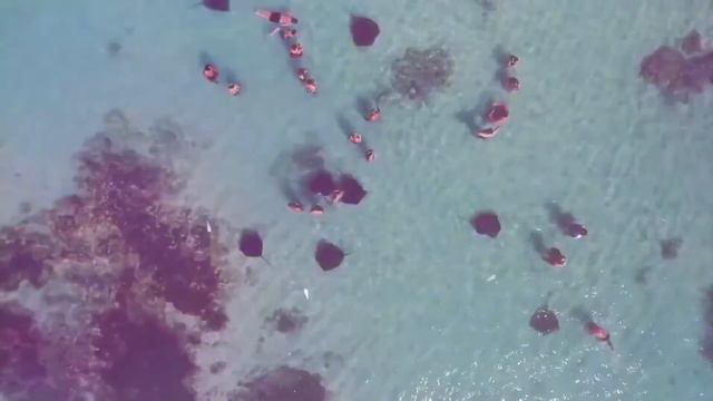 утренняя музыка ☀️ музыка для работы и поднятия настроения ☀️ Лучшая Музыка 2020