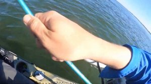 Testing out the Honda 2.3Hp Outboard Motor on a Hobie Outback Kayak: +Structure Fishing for Porgies