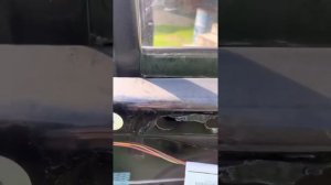 Замена стекол задней двери на Jeep Liberty/Cherokee