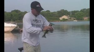 NC Fish Fights BACK!, Lake Norman & Lake Wylie Bass Fishing Guide, Rusty White, NC Bass Fishing