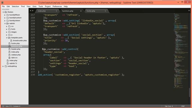 Создание Wordpress Темы (Шаблона) с нуля - Урок 10 - Footer. Работа с кастомайзером WP смотреть онлайн