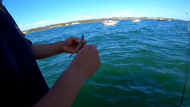 Insane SNAPPER fishing | Australia | Port Phillip Bay | (Bait and plastics) смотреть онлайн