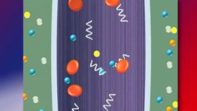 Гемодиализ - принцин действия аппарата "искусственная почка" смотреть онлайн