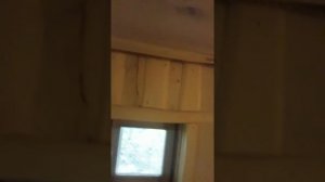 Баня моей мечты в стиле леший
