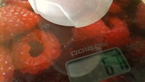 Техасский перепел! ВЕС на 10 сутки СМОТРЕТЬ!!!