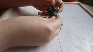 Ёжик из пластилина и семечек