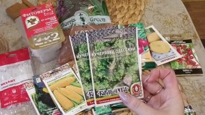 Семена на сезон 2024. Обзор.