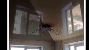 Обзор одноуровневых натяжных потолков