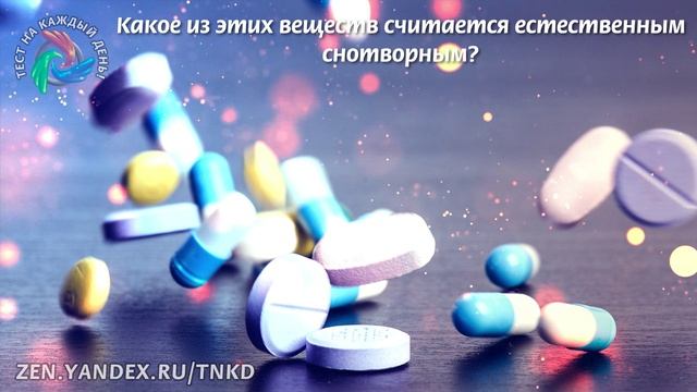 Тест на эрудицию 10 смотреть онлайн