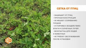 Сетка от птиц INTERLOK