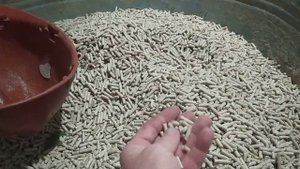 Дешевий Бмвд для поросят своїми руками.