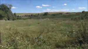 Берёзовка   2015(3)