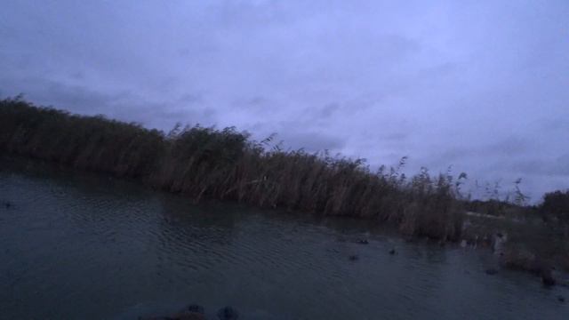 Отличная охота на утку 2021. Попал на перелётку смотреть онлайн