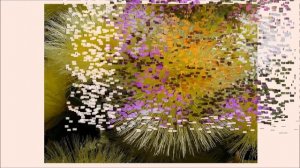 Мезембриантемум