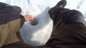 ЛОВЛЯ ГУСТЕРЫ С 10 МЕТРОВ НА СИЛЬНОМ ТЕЧЕНИИ | ЗИМНЯЯ РЫБАЛКА В КОНЦЕ МАРТА