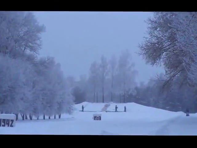 Падал снег - поёт Андрей Картавцев