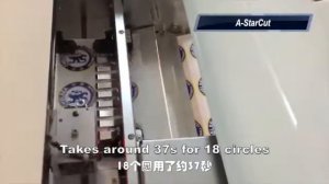 Принтер для этикеток, наклеек, лейблов режущий плотер А4 формата с автоматической подачей бумаг