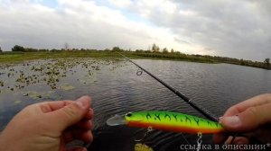 ЗАБРОШЕННОЕ РУСЛО РЕКИ! Рыбы Пополам с Водой! Рыбалка с лодки на воблеры Bearking Ловля щуки Твичин